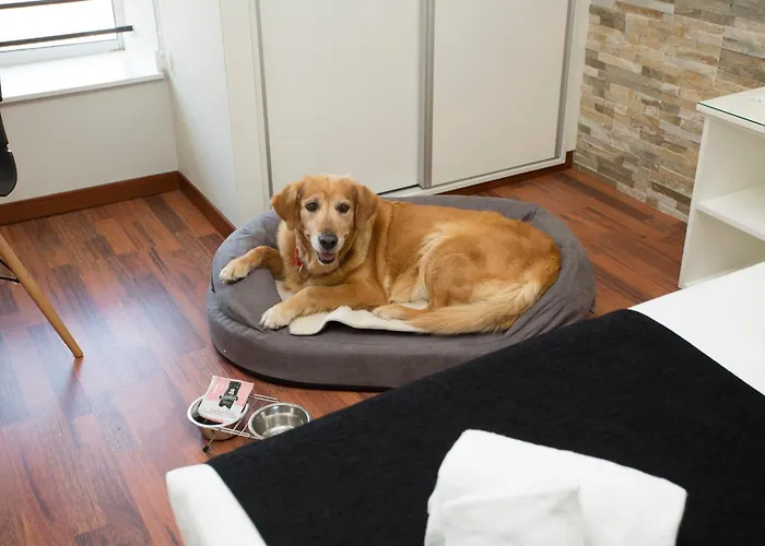 Casual Vintage Szálloda Valencia